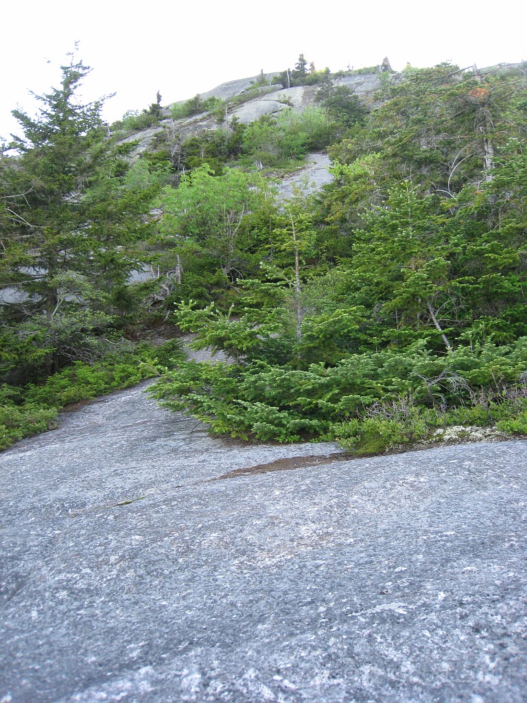 Mt Cardigan NH 2010 0175.jpg - Gotta go straight up to the top. It is a lot steeper than it looks in the photo. I did not get pics of the steepest parts since I was hanging on trying not to fall.